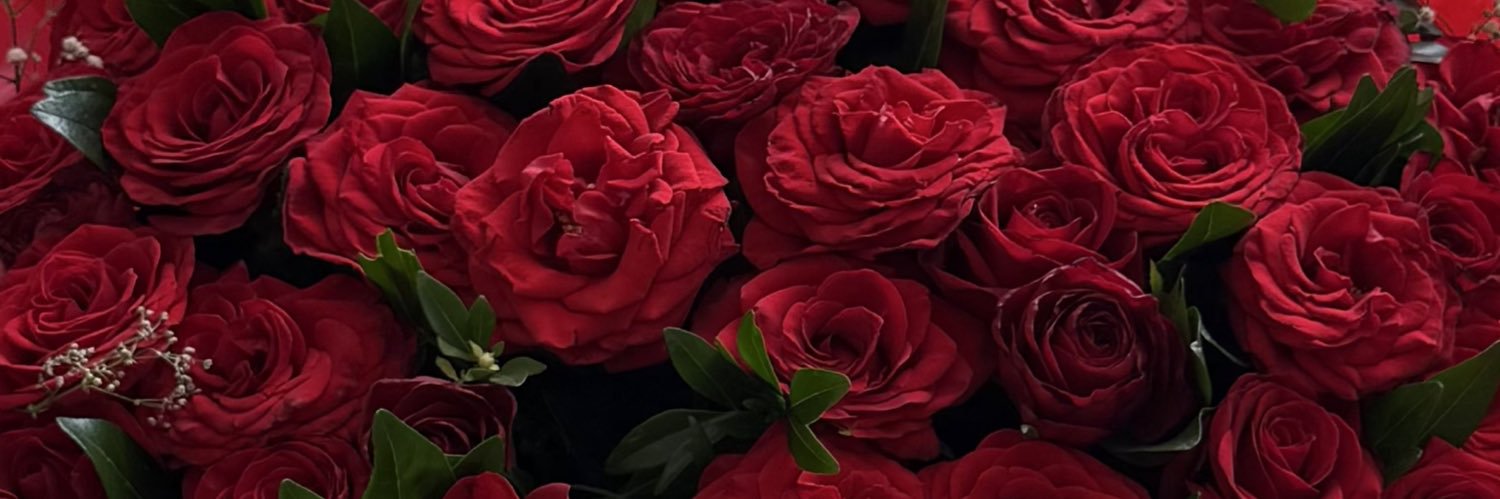 AnnaCva1's profile banner image