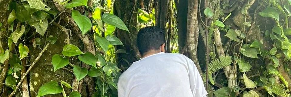 FabioPrevisoes's profile banner image
