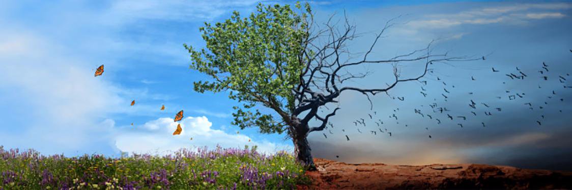 Rel1Resources's profile banner image