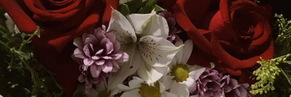 manh0sa Profile Banner