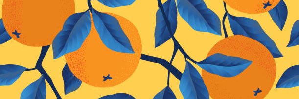 RaniazulOpp's profile banner image