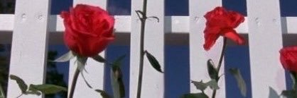 CarissaMTuggle's profile banner image