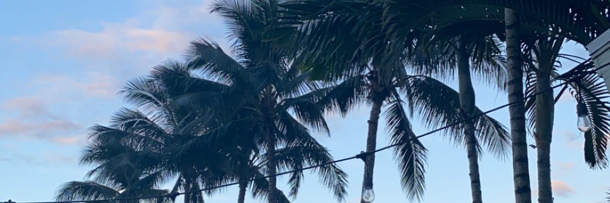 Alliegator_8's profile banner image