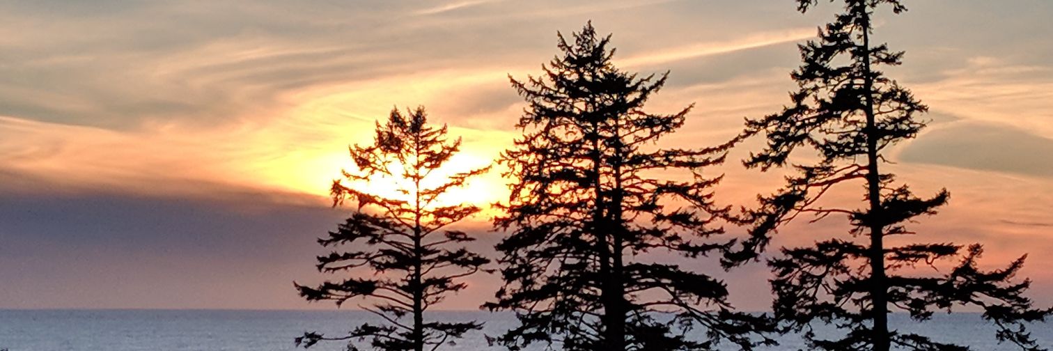 DasDoyle's profile banner image