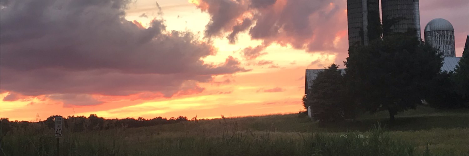 erincecelia's profile banner image