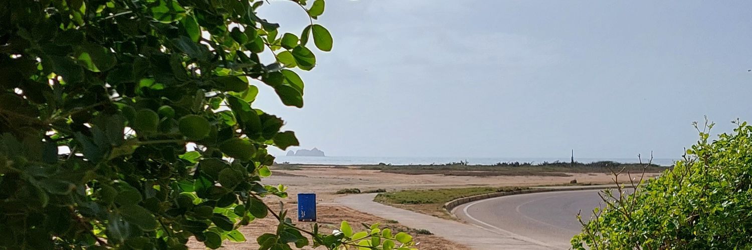ocada3009's profile banner image