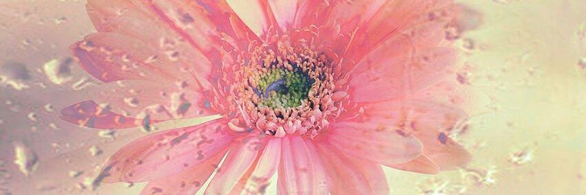 doreendean71's profile banner image