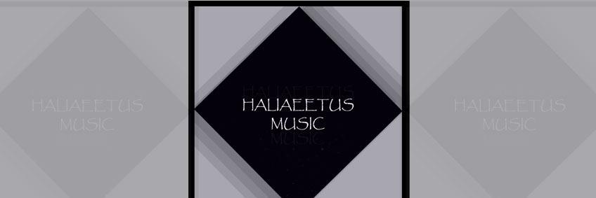HaliaeetusMusic's profile banner image