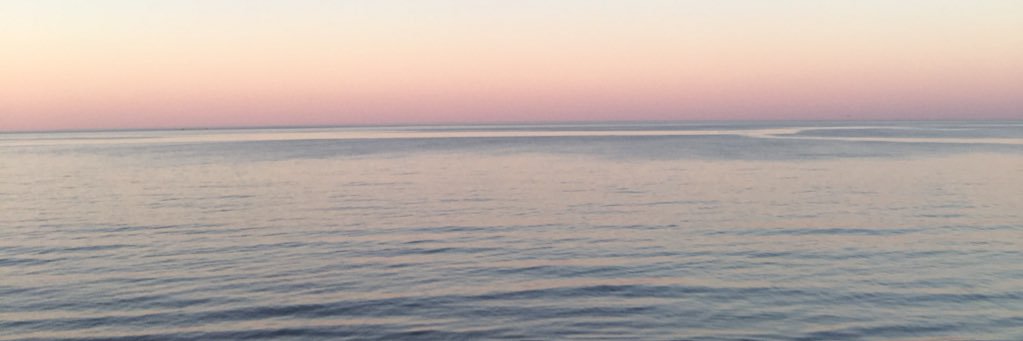 ShannonFCole's profile banner image