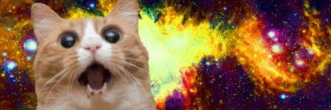 QweenLizabeth's profile banner image