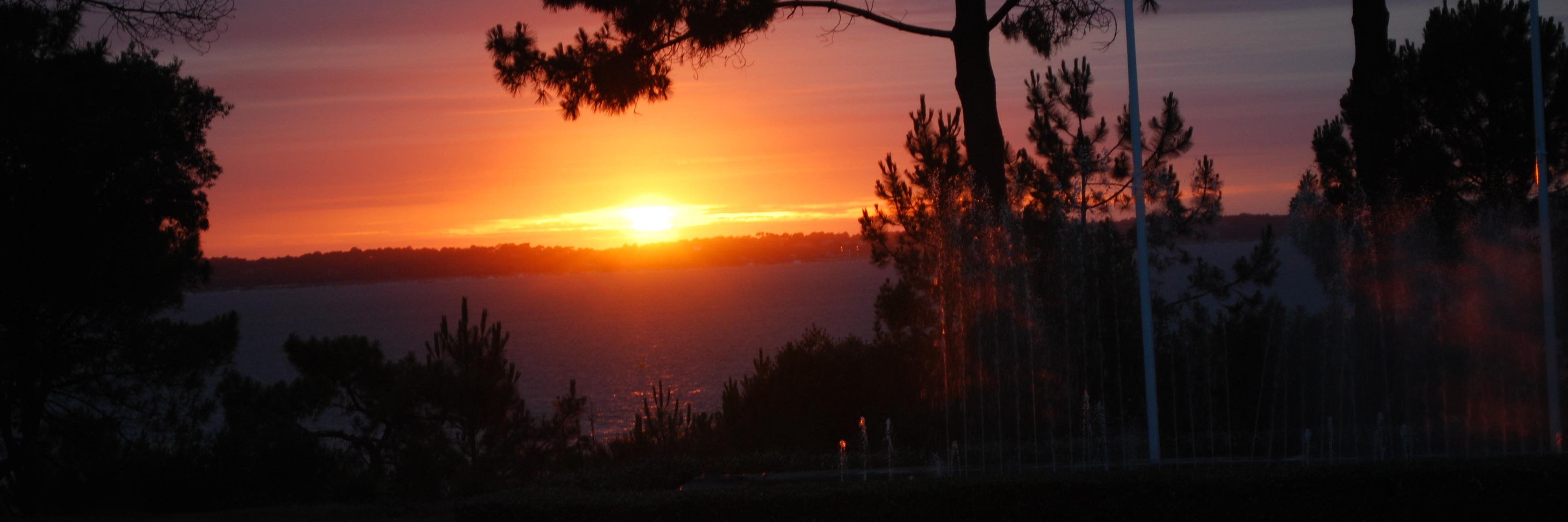 Alain Choucair banner