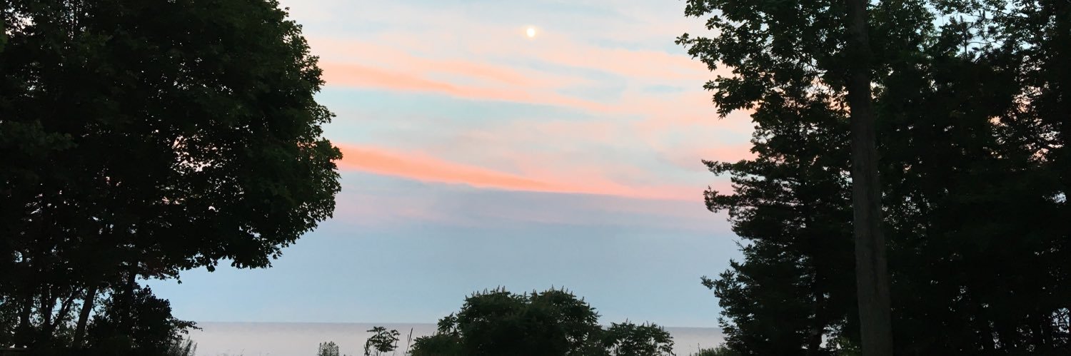 DimoffM's profile banner image