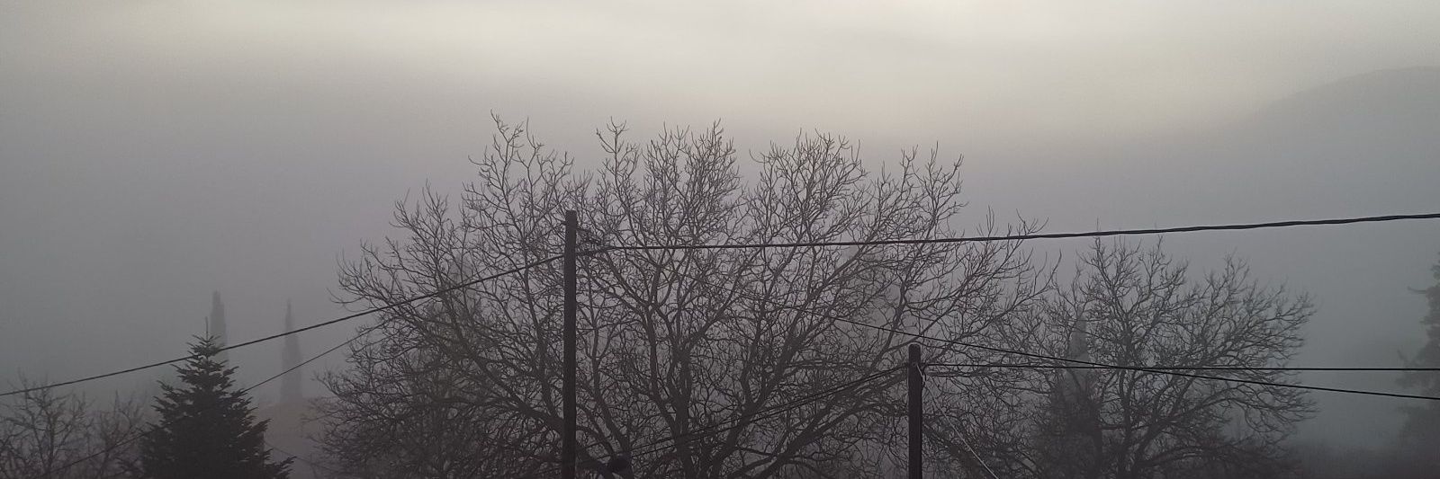 Συμφωνώ αρα διαφωνώ banner