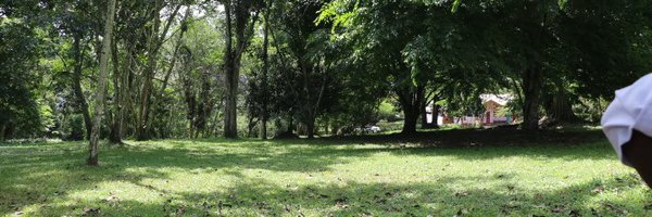 AmmaBaffoe Profile Banner