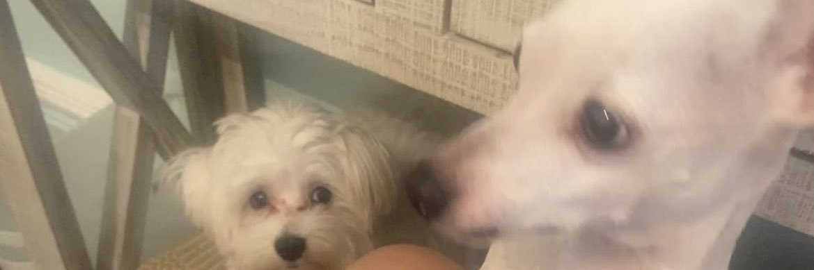 Andyguin_'s profile banner image
