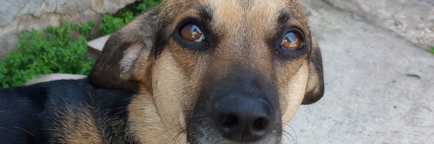 CandLuciaa's profile banner image