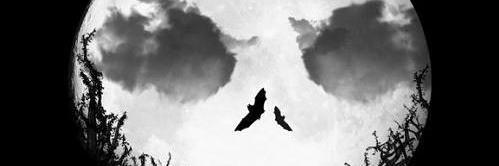 Aztecs747's profile banner image