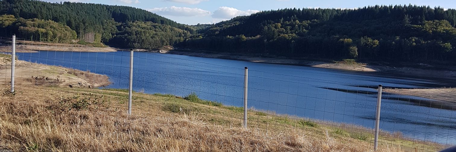 Clement Ravaud banner