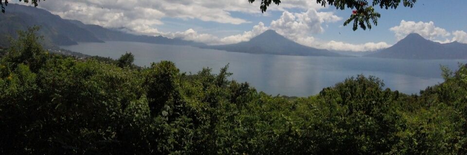 ade_velez's profile banner image