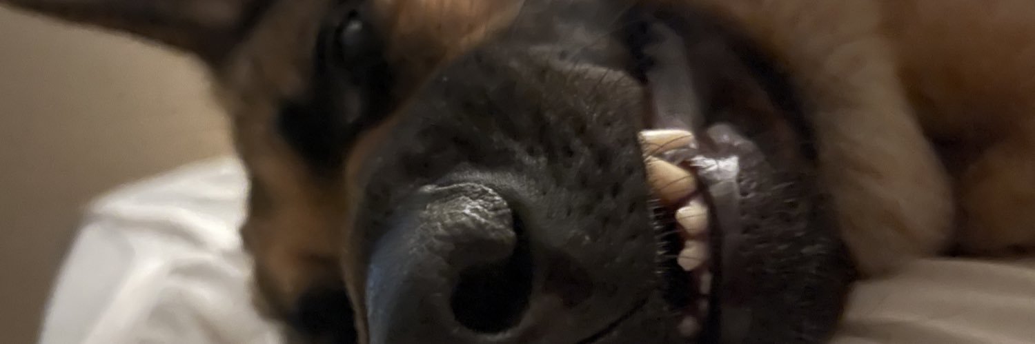 DylanGTJ's profile banner image