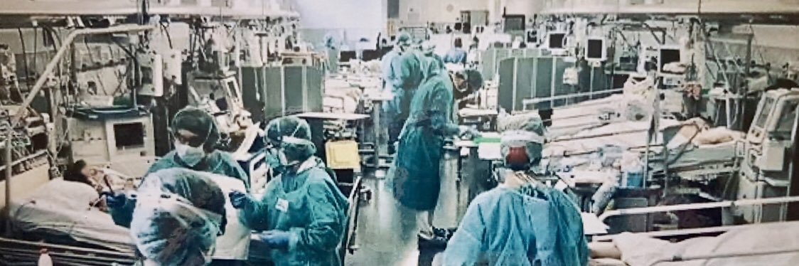 EsterSR MD PhD banner