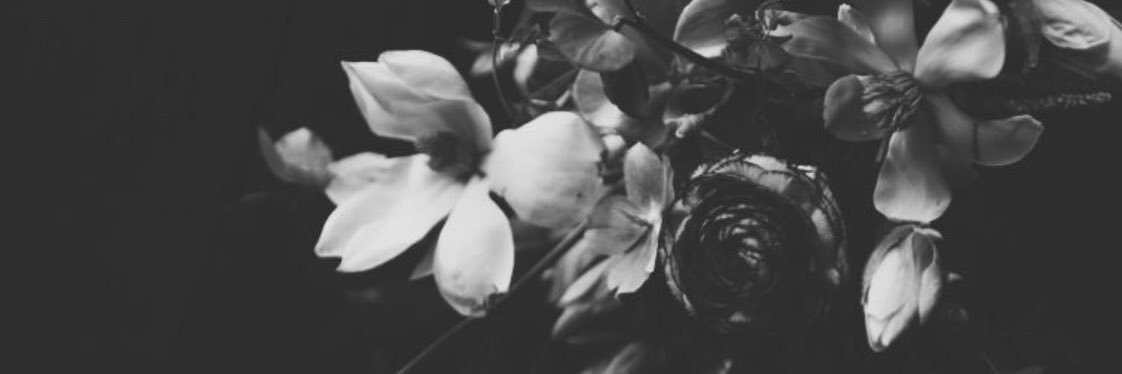 _miscelaineous's profile banner image