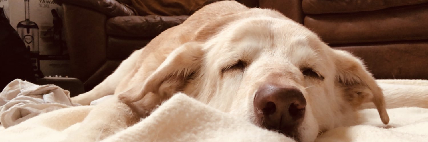 itscoolkay's profile banner image
