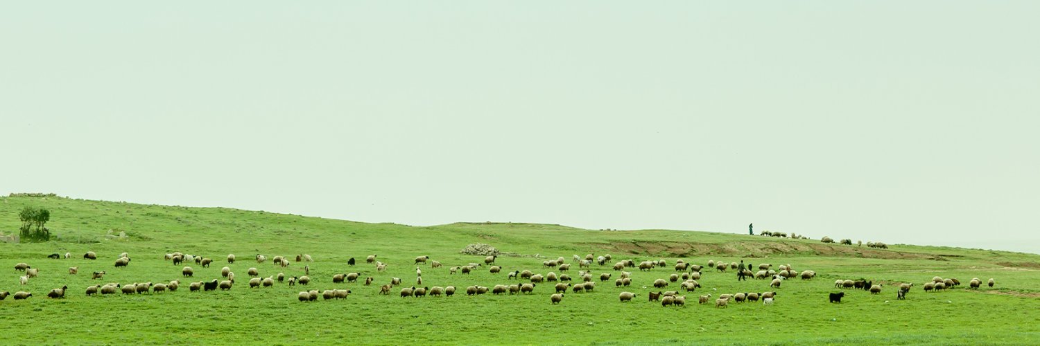 KRG Austria banner