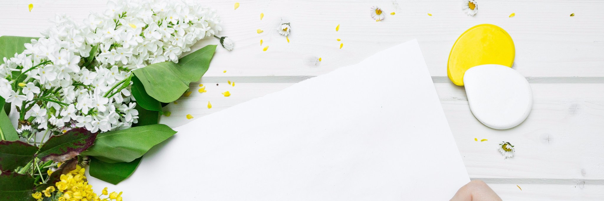 wrainiel's profile banner image