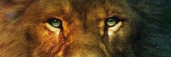 K_L_YoRd's profile banner image