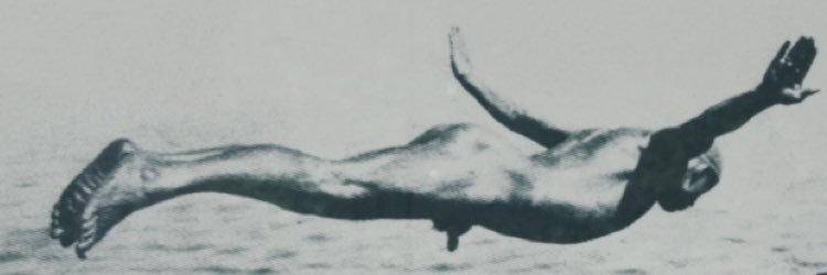 Lausesky's profile banner image