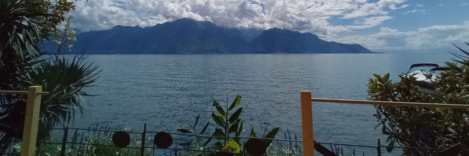 Tomás 🦆 banner