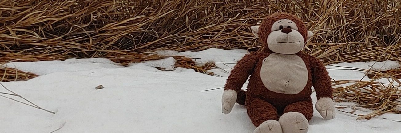 First Grade Monkey banner