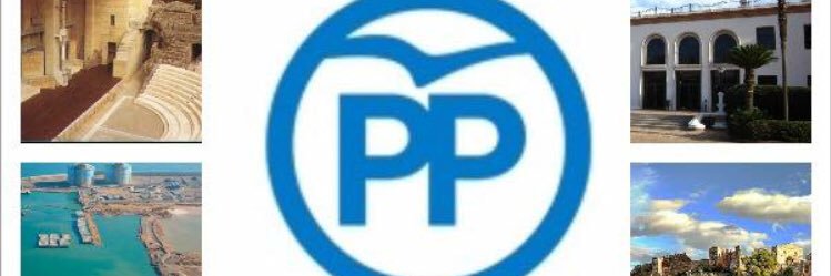 PpGrupo's profile banner image