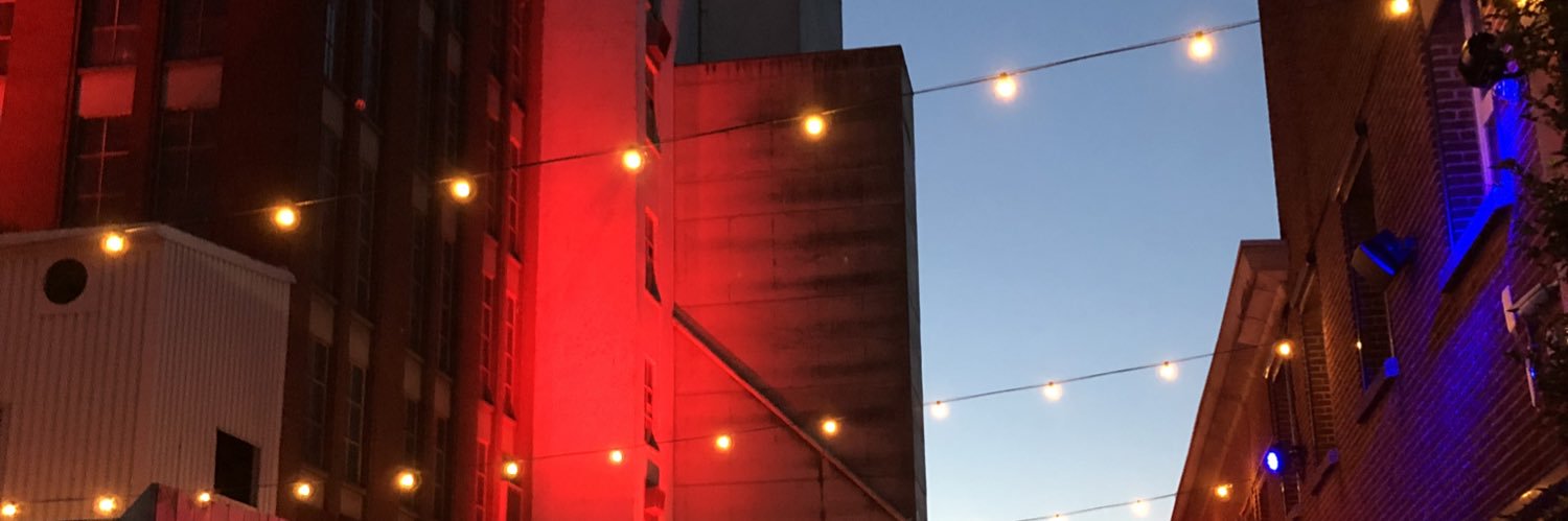 RomyVanderLind1's profile banner image