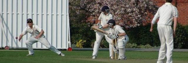 ShrsSchCricketFest banner