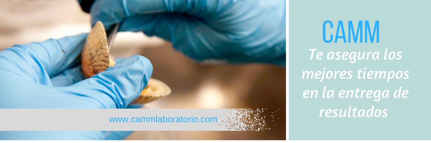 CammLab's profile banner image