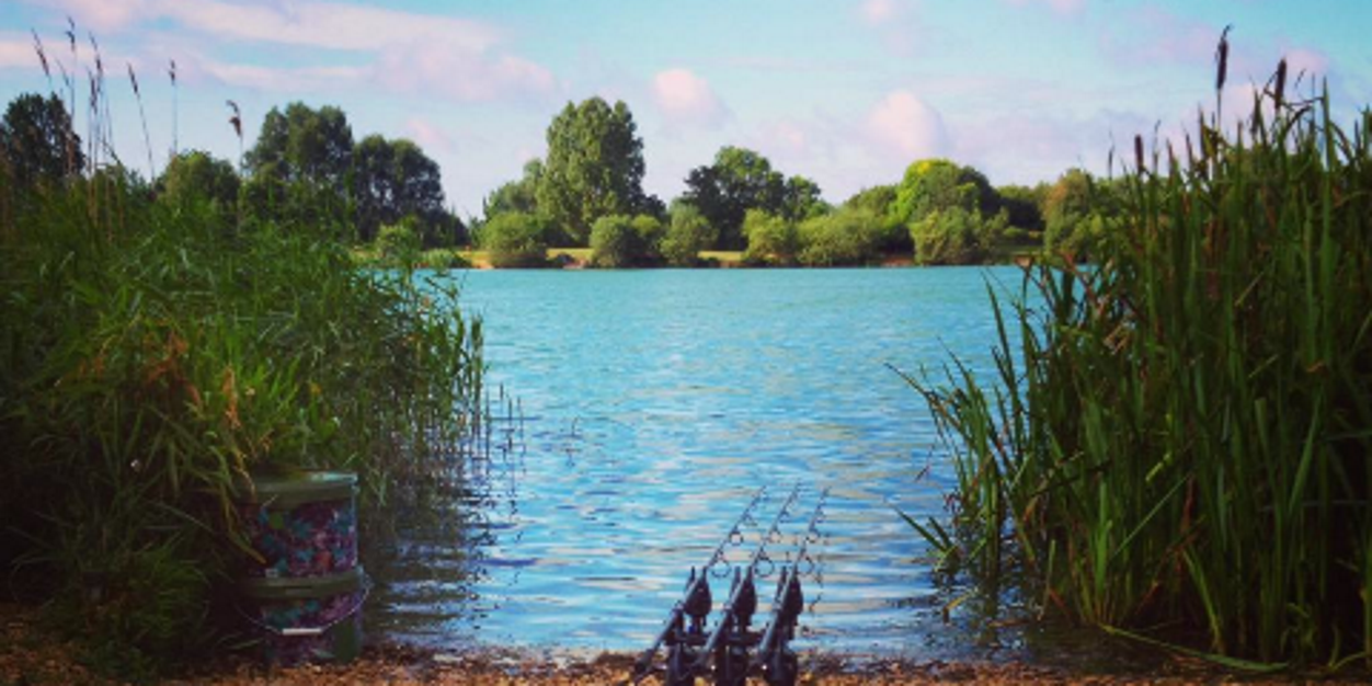 carpmonster_21's profile banner image