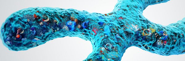 FIMM_UH Profile Banner