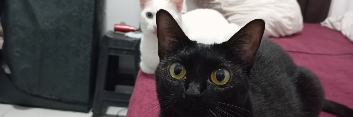 mdcignacio_'s profile banner image