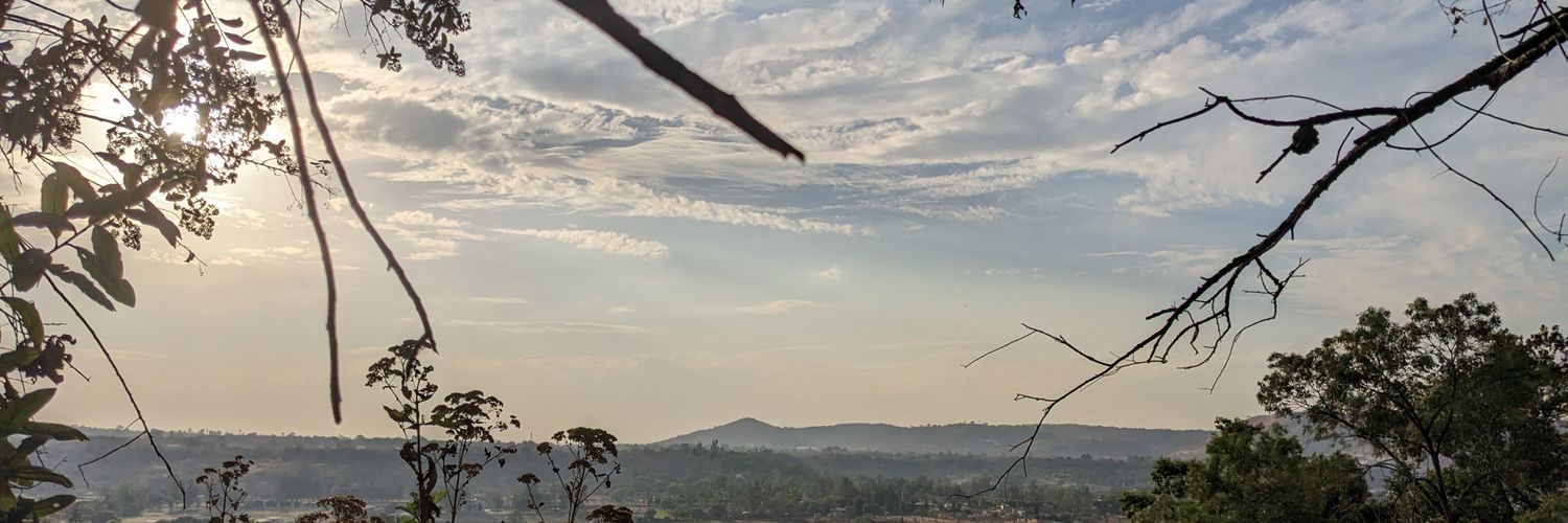 bobbypepe's profile banner image