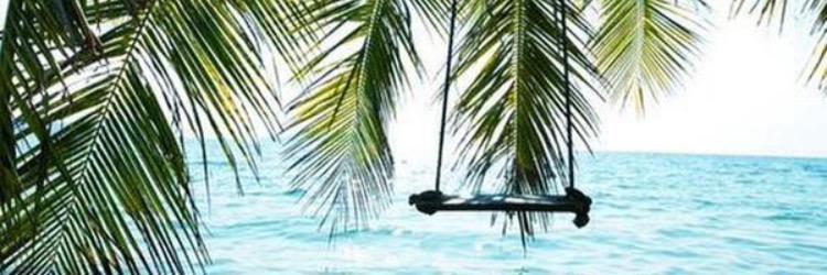 leeudemans's profile banner image