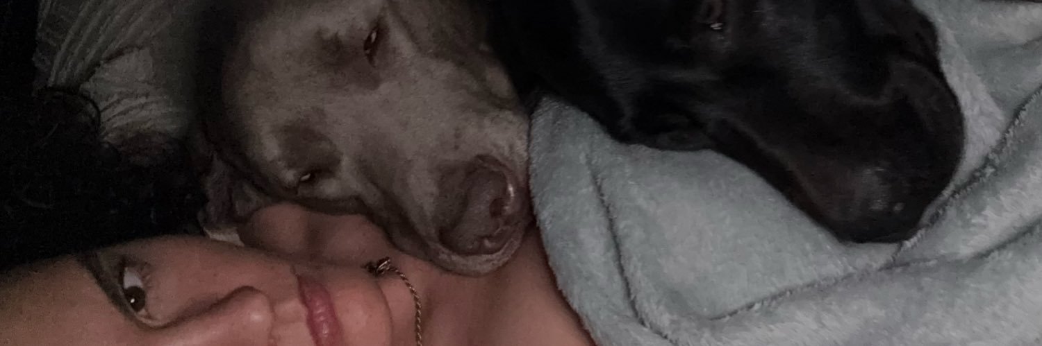 MaddySappy's profile banner image
