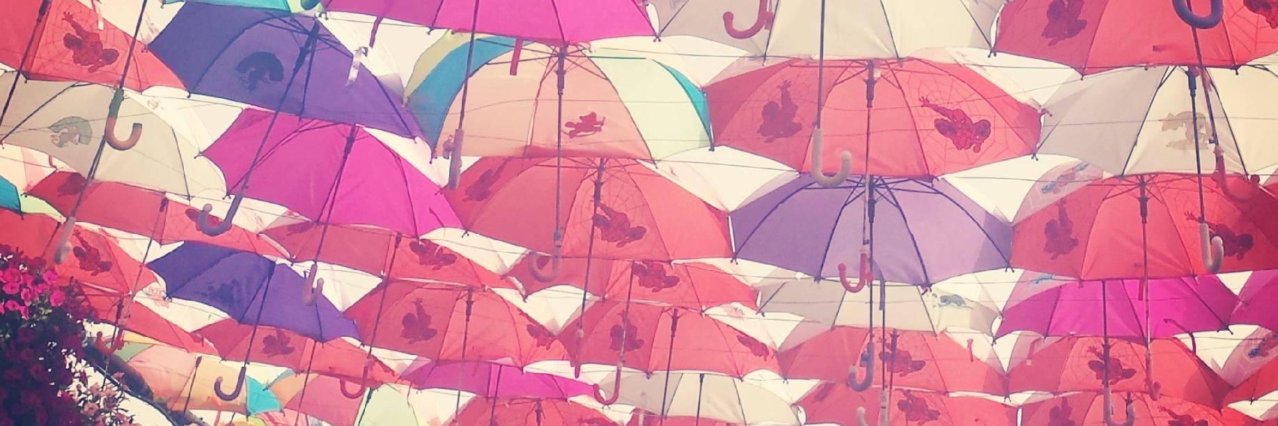 meganbrick's profile banner image