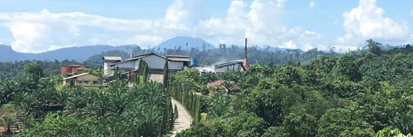 PHellermann Profile Banner