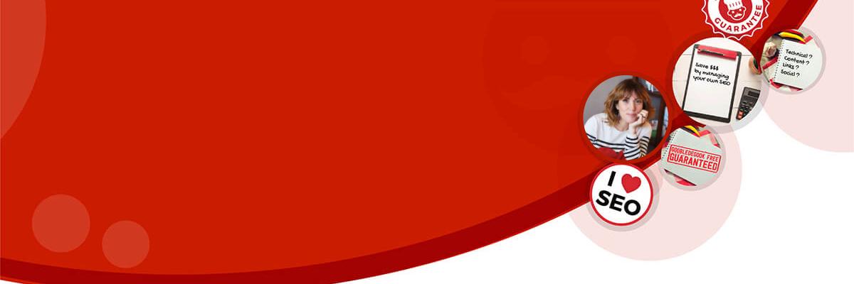 RECIPEFORSEOSUCCESS banner