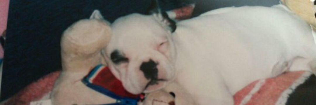 titol1996's profile banner image