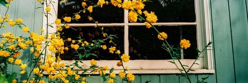 DanielaGarcia00's profile banner image