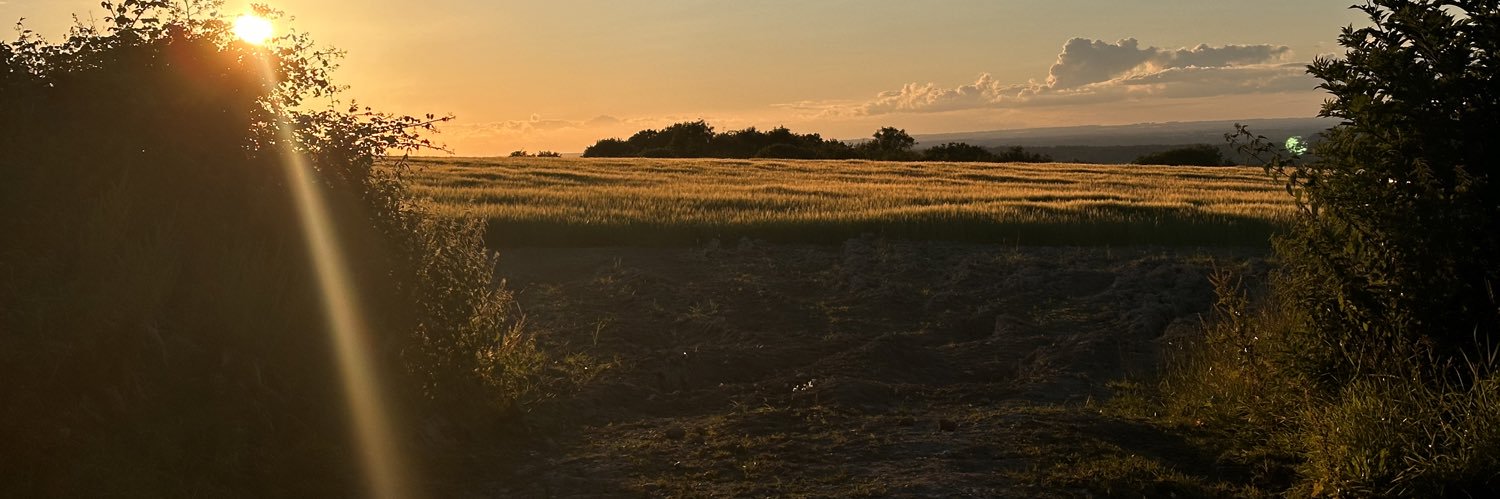 jxsontea's profile banner image
