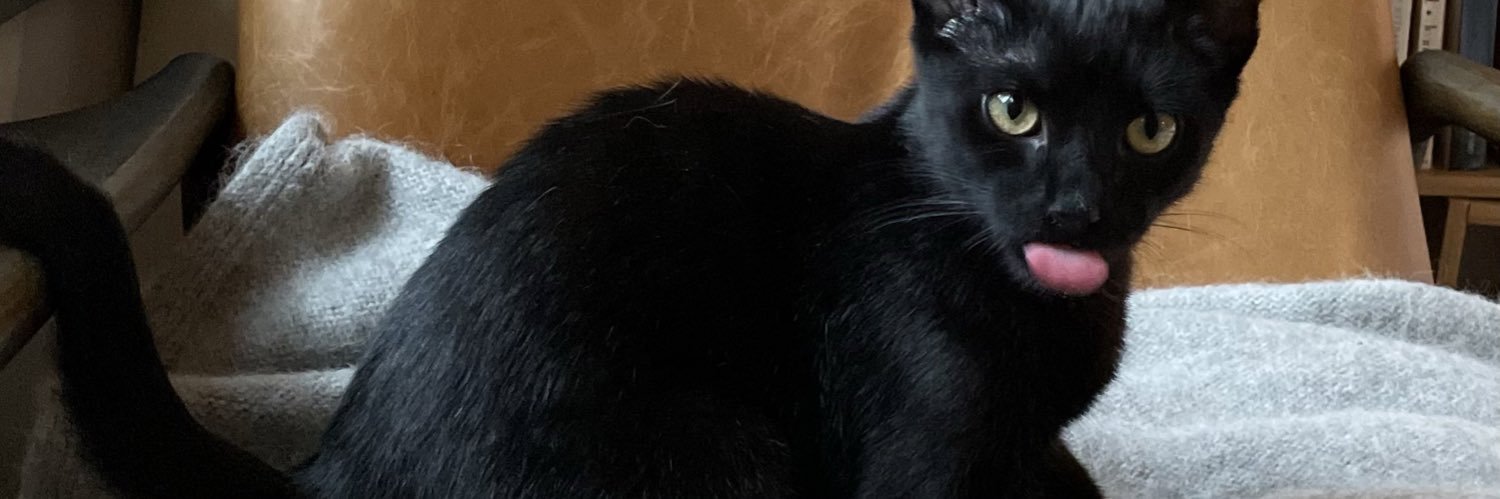 joliebeanss's profile banner image